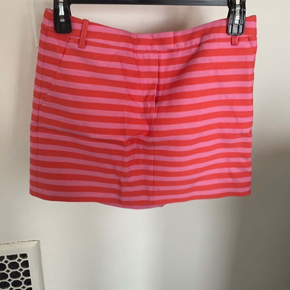 J. Crew Skirt